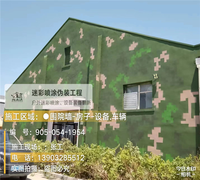 贺州外墙数码迷彩漆施工报价清单（100㎡标准墙面测算）
